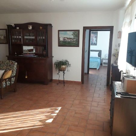 Ciritez Apartman Nevia Holiday Home المظهر الخارجي الصورة